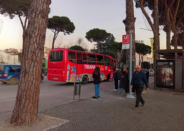 Chill Inn, Into A Cozzy Space Tirana